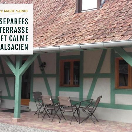 Gite Chez Marie-Sarah Petite Maison Calme Parking Ebersheim Экстерьер фото